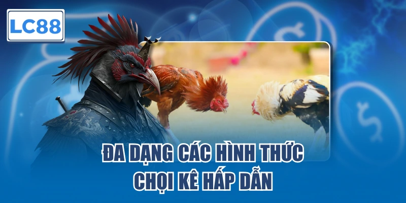 Đa dạng các hình thức chọi kê hấp dẫn