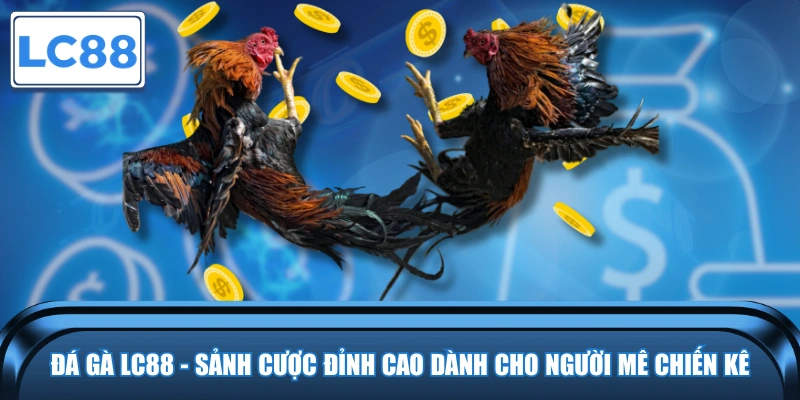 Đá Gà LC88 - Sảnh Cược Đỉnh Cao Dành Cho Người Mê Chiến Kê