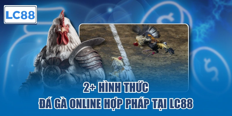 2+ hình thức đá gà online hợp pháp tại LC88