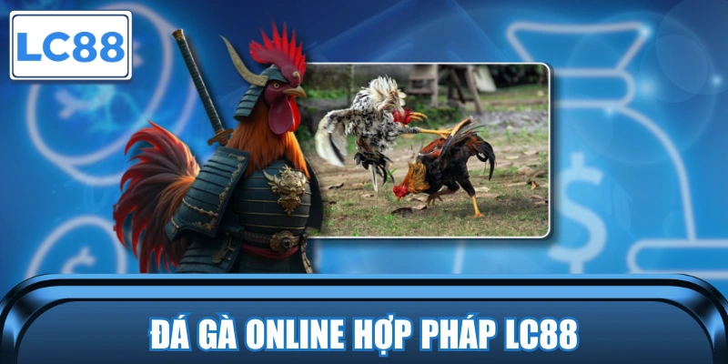 Đá gà online hợp pháp LC88
