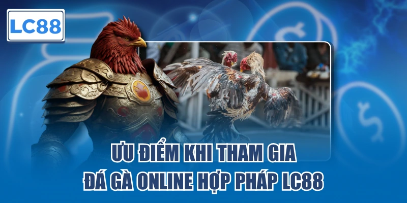 Ưu điểm khi tham gia đá gà online hợp pháp LC88