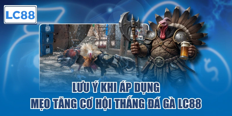 Lưu ý khi áp dụng mẹo tăng cơ hội thắng đá gà LC88