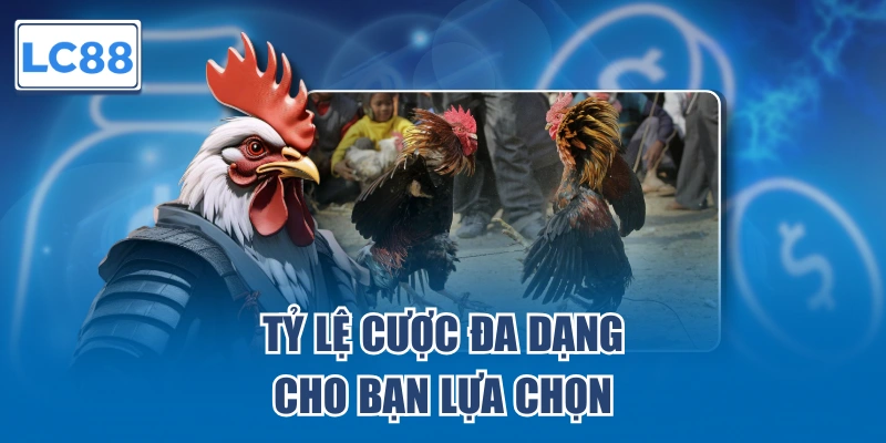 Tỷ lệ cược đa dạng cho bạn lựa chọn